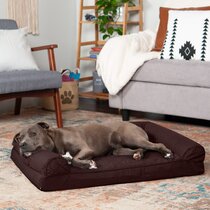 Wayfair | Small Dog Beds You'll Love in 2022